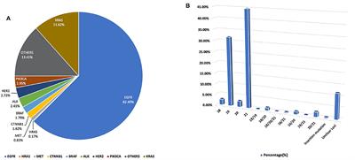 Catalog of Lung Cancer Gene Mutations Among Chinese Patients